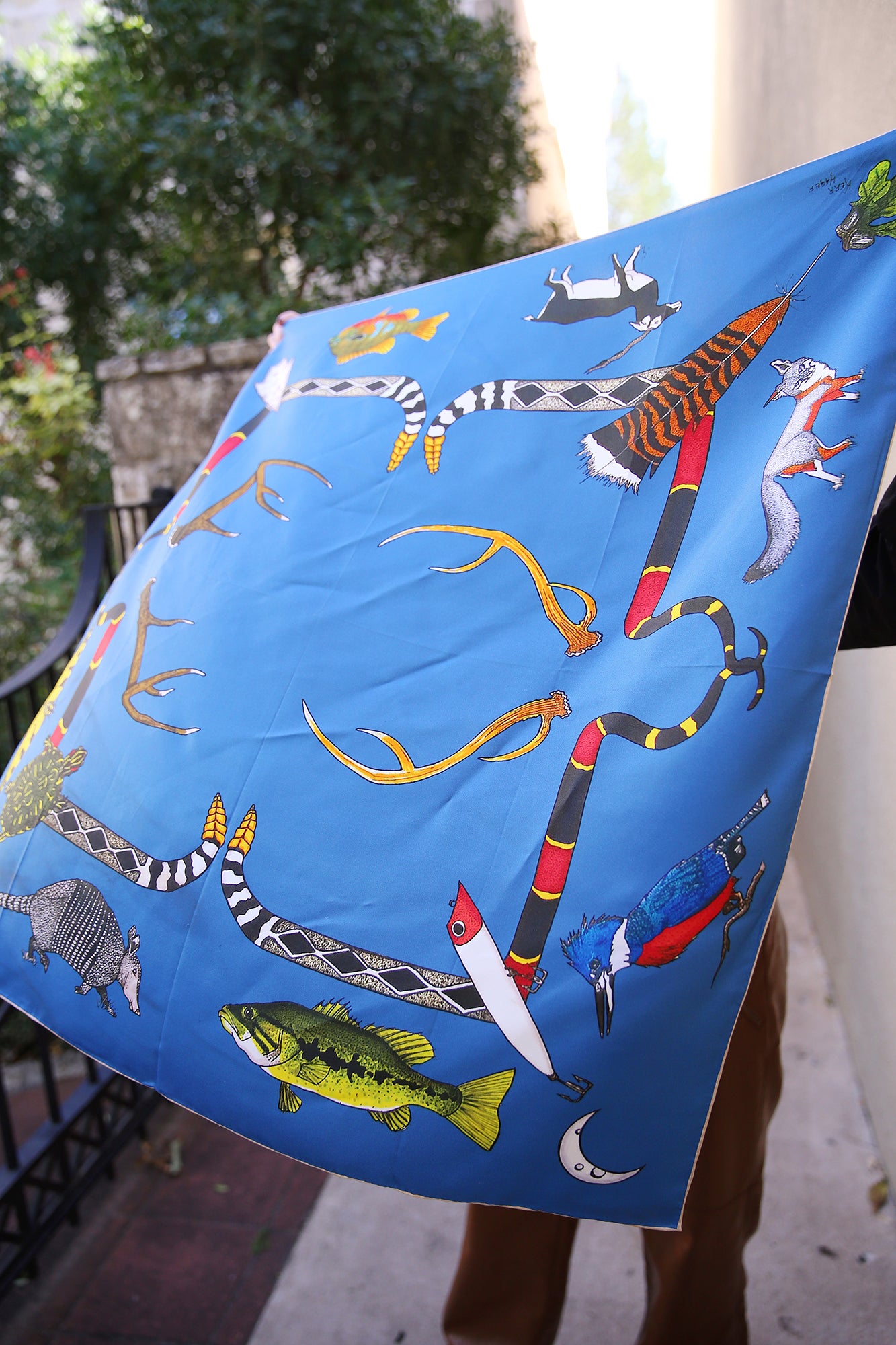 Cliff Swallow Hill Country Silk Scarf 36x36"