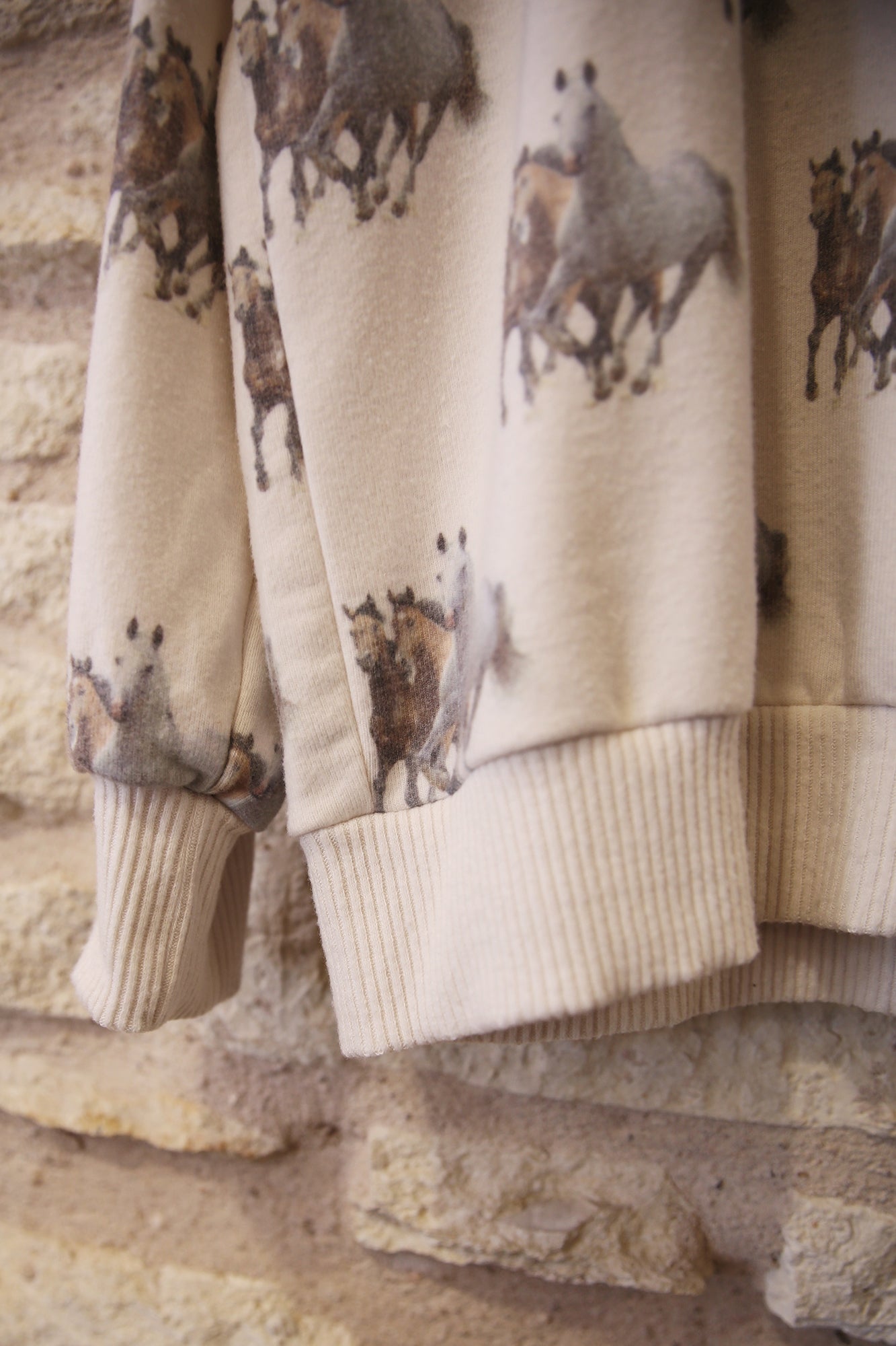 Cozy Oversized Top 3 Horses Bone