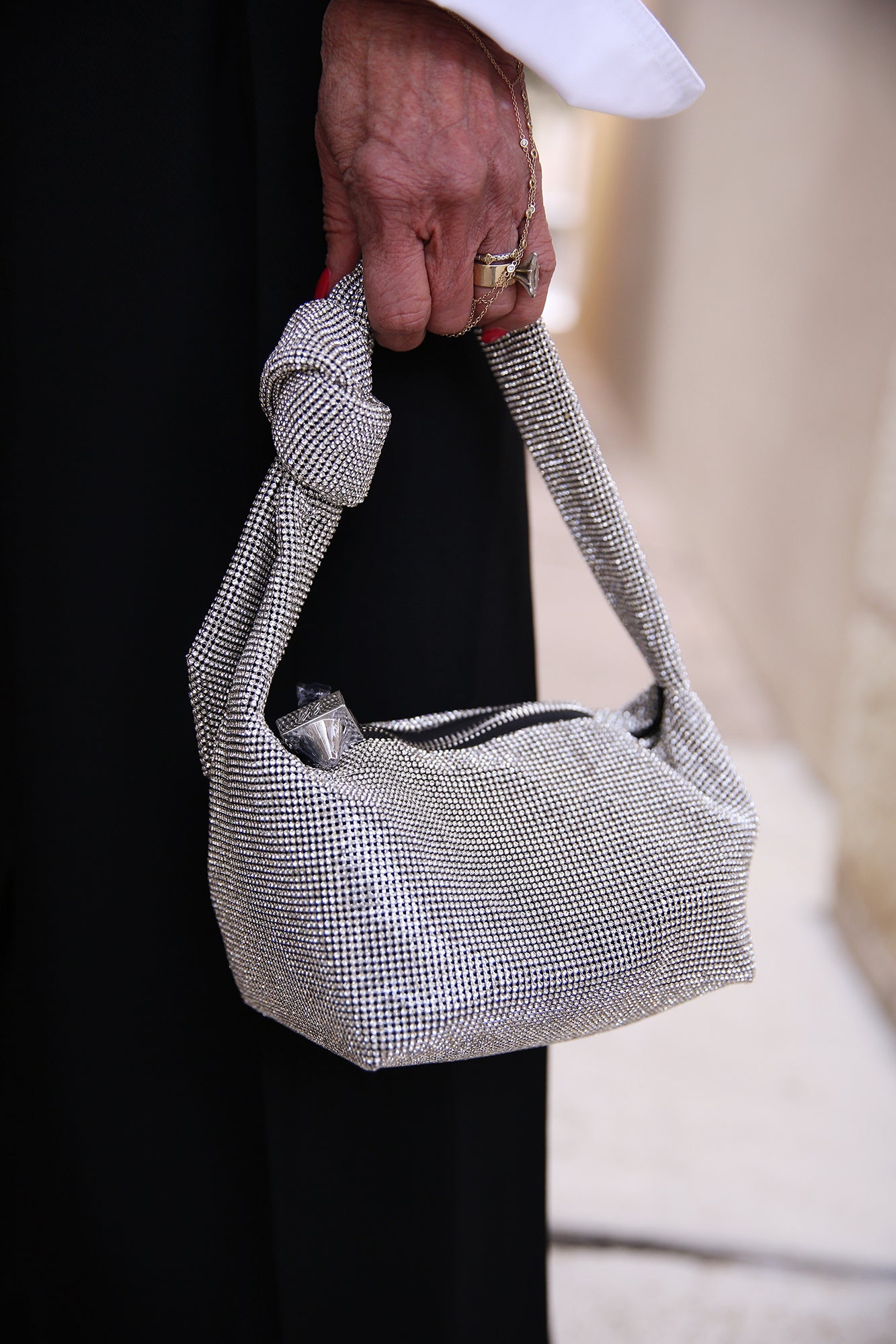 Waverly Rhinestone Mesh Mini Hobo Silver White
