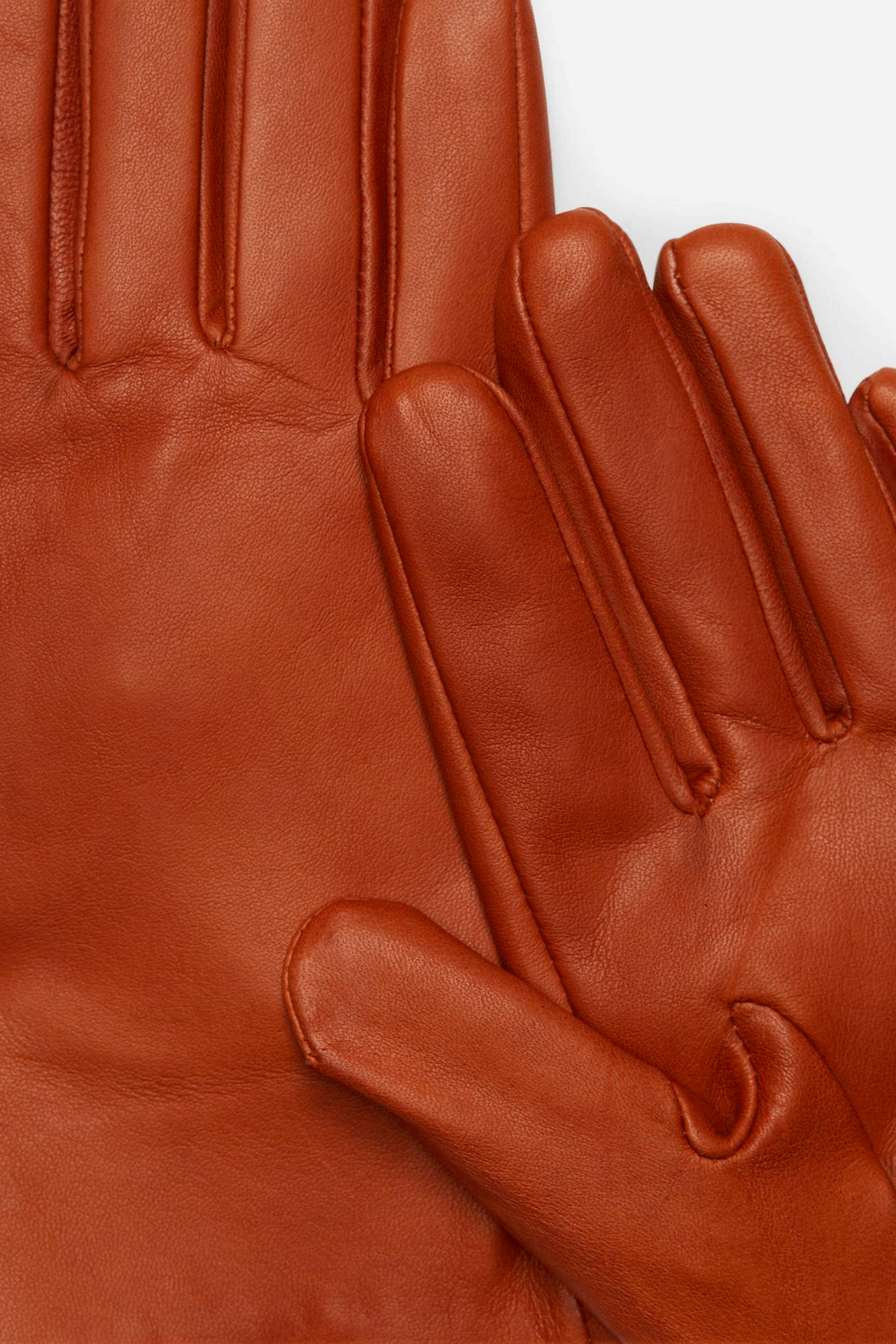 Short Class Nappa Gloves