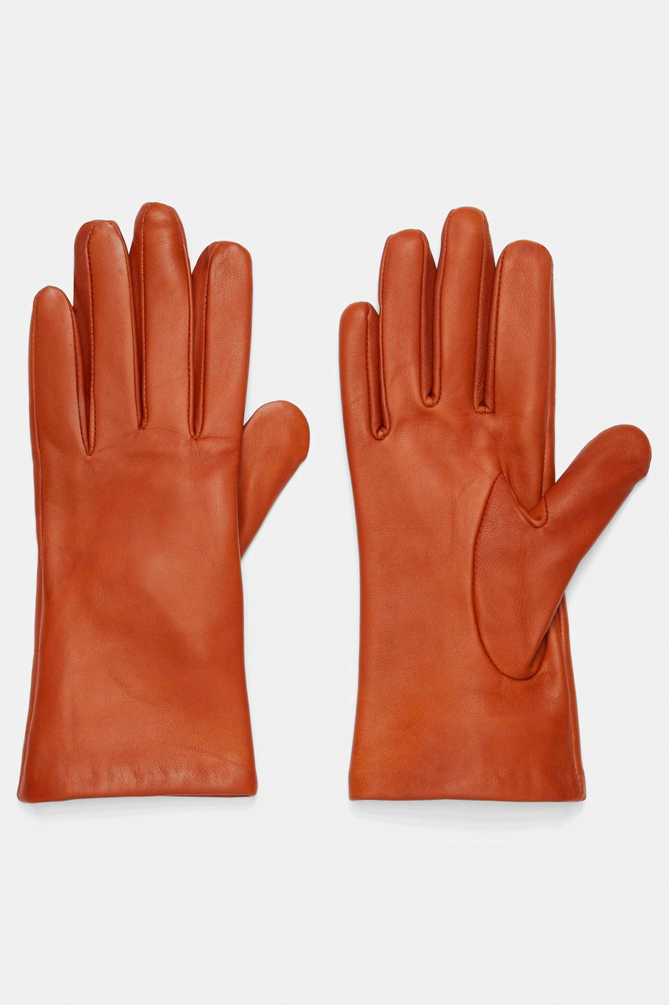 Short Class Nappa Gloves