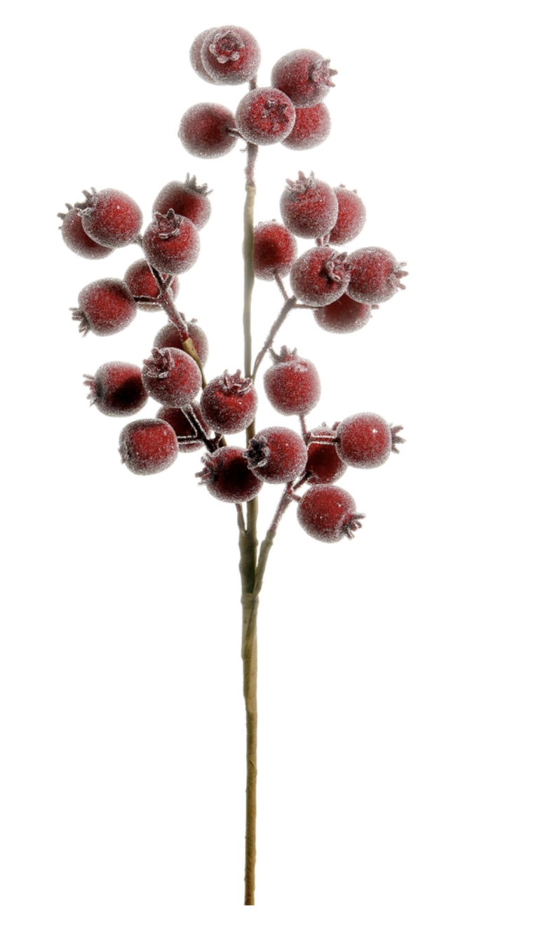 21" Iced Burgundy Berry Pod Spray