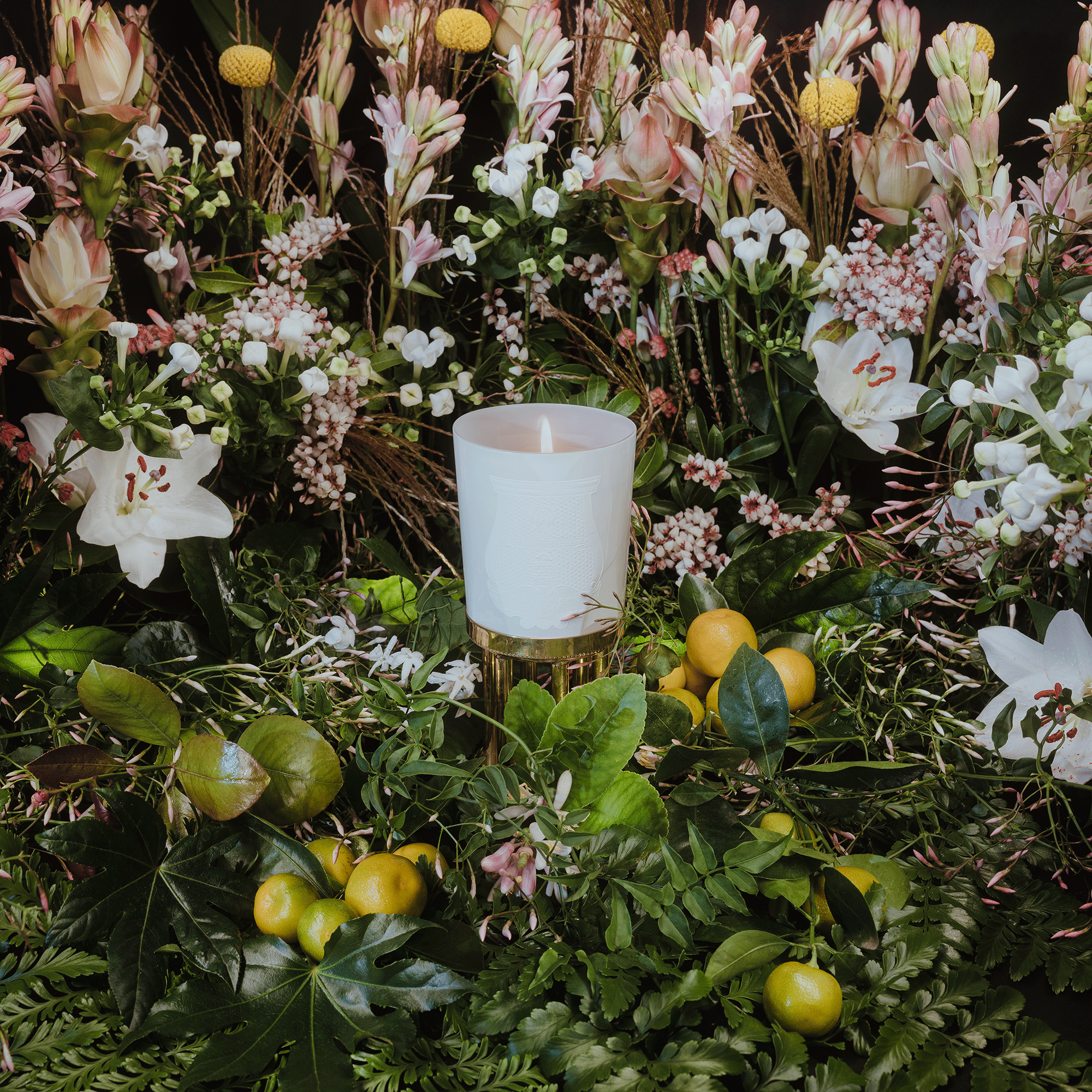 Luxurious Scents: Trudon Candles, Diffusers, & Fragrances