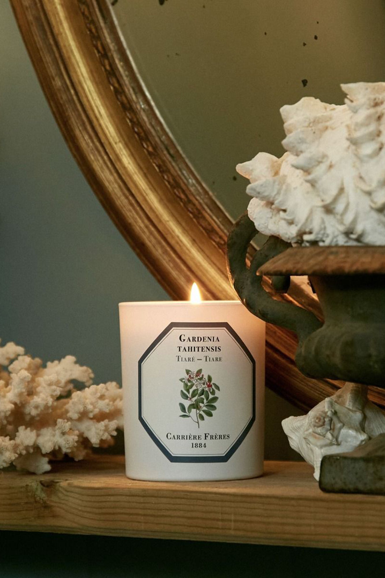 CF Candle TIARE