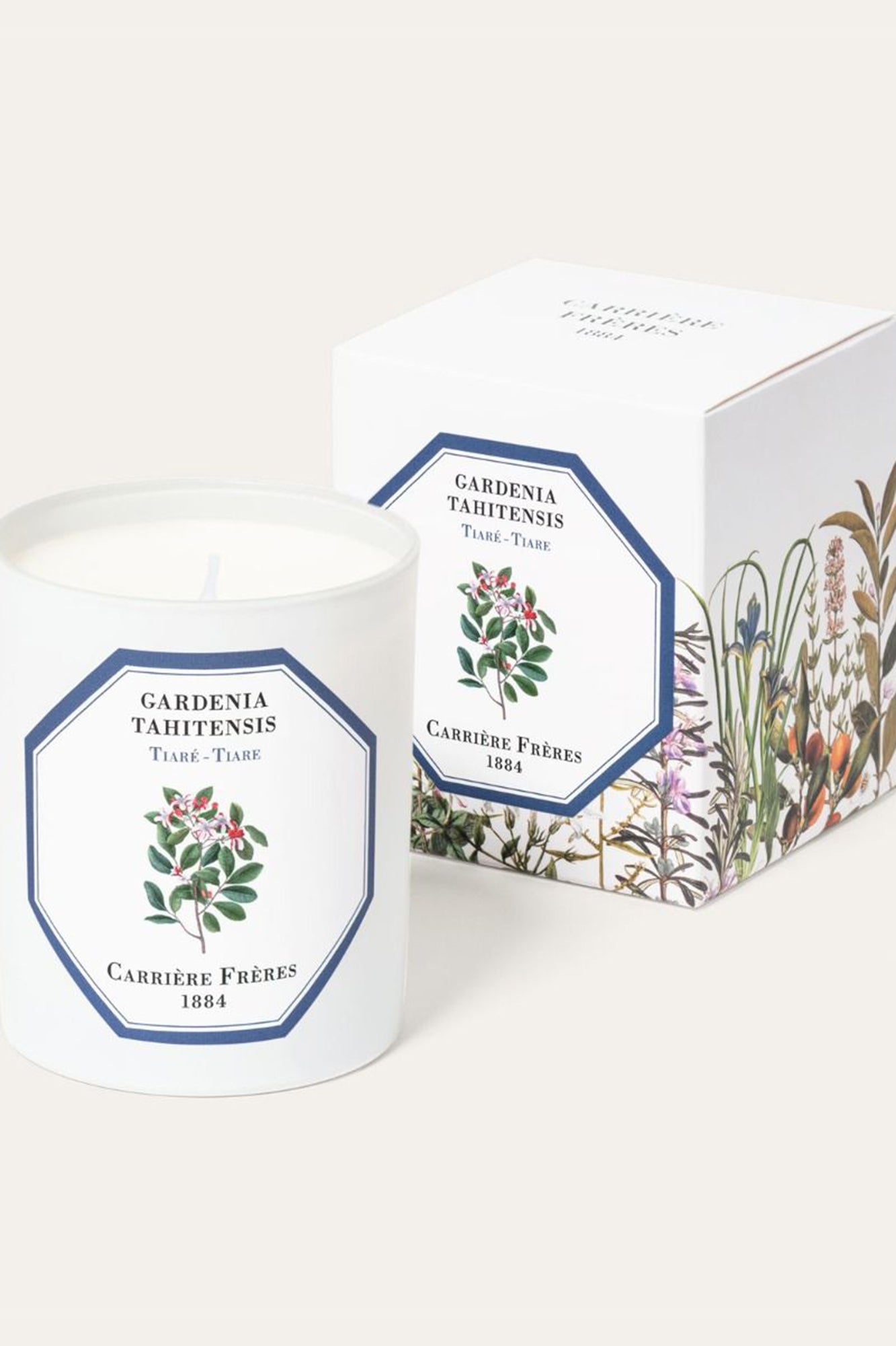 CF Candle TIARE