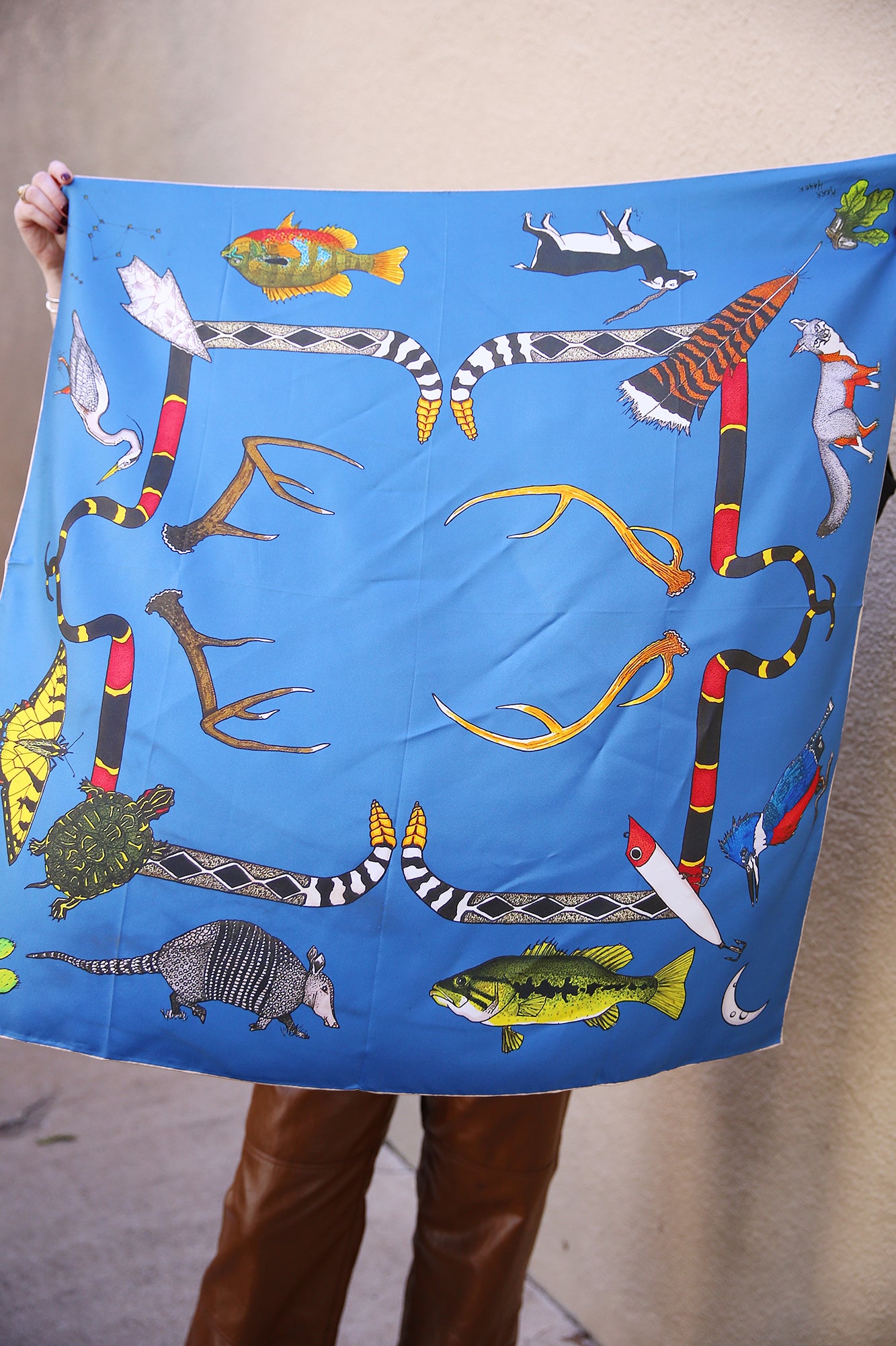 Cliff Swallow Hill Country Silk Scarf 36x36"