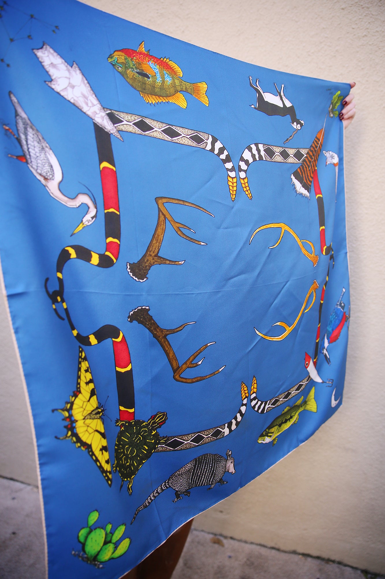 Cliff Swallow Hill Country Silk Scarf 36x36"