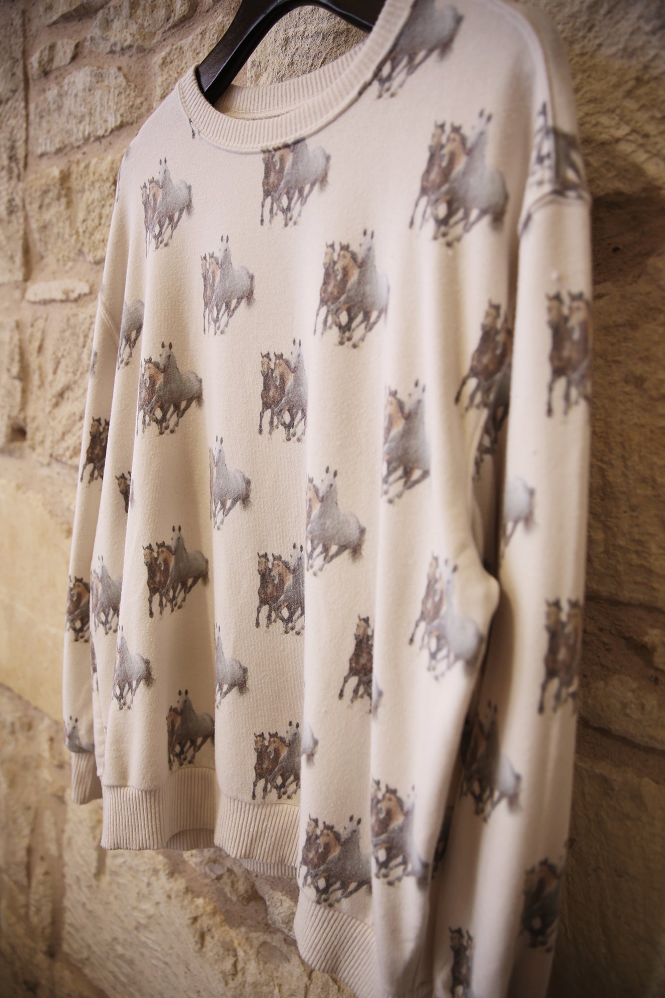 Cozy Oversized Top 3 Horses Bone