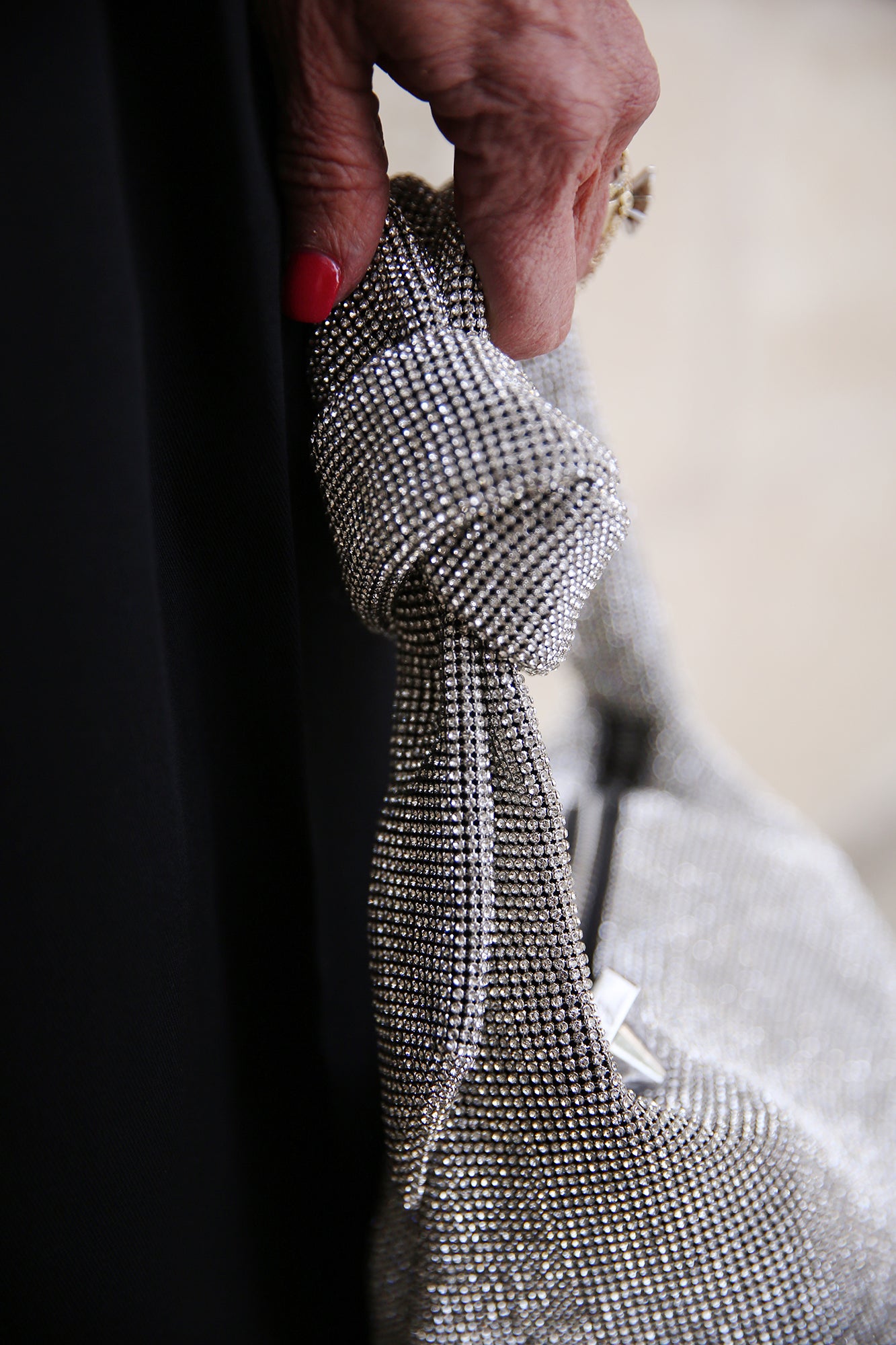 Waverly Rhinestone Mesh Mini Hobo Silver White