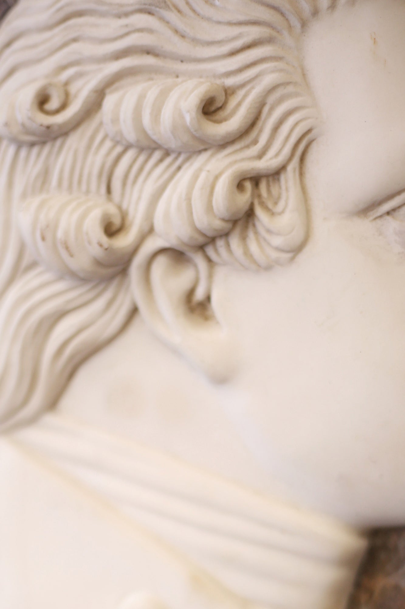 Right-Facing Iron-Framed Marble Italian Portrait Medallion