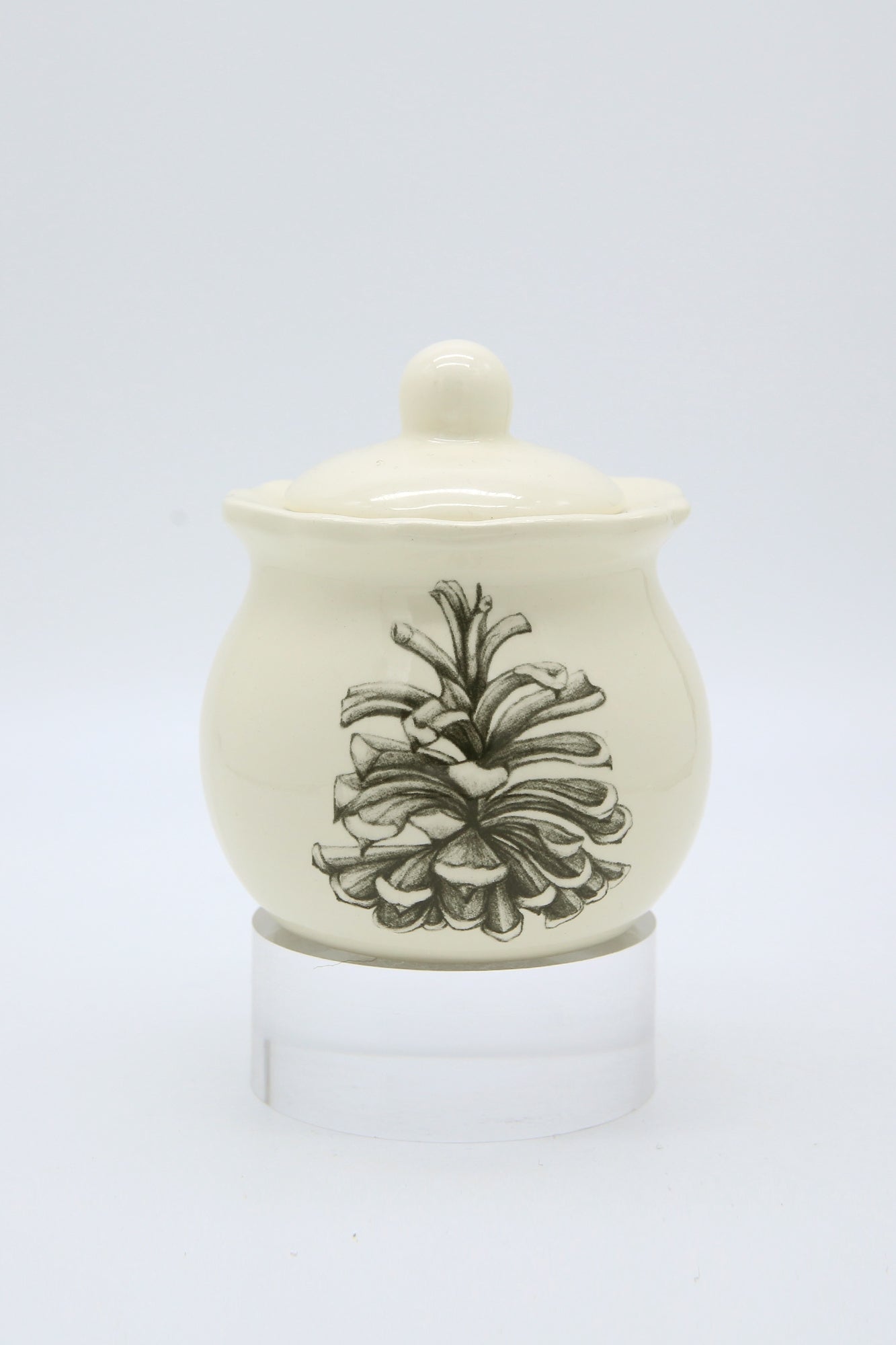 ZINDEL Sugar Bowl Pinyon Pine Cone - White
