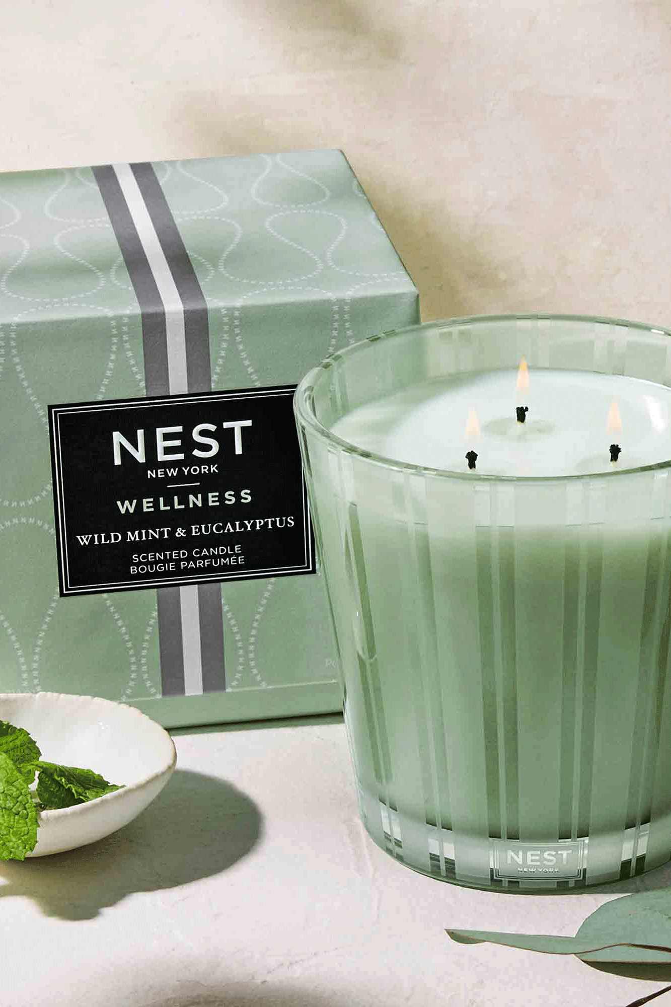 Wild Mint & Eucalyptus 3 Wick Candle
