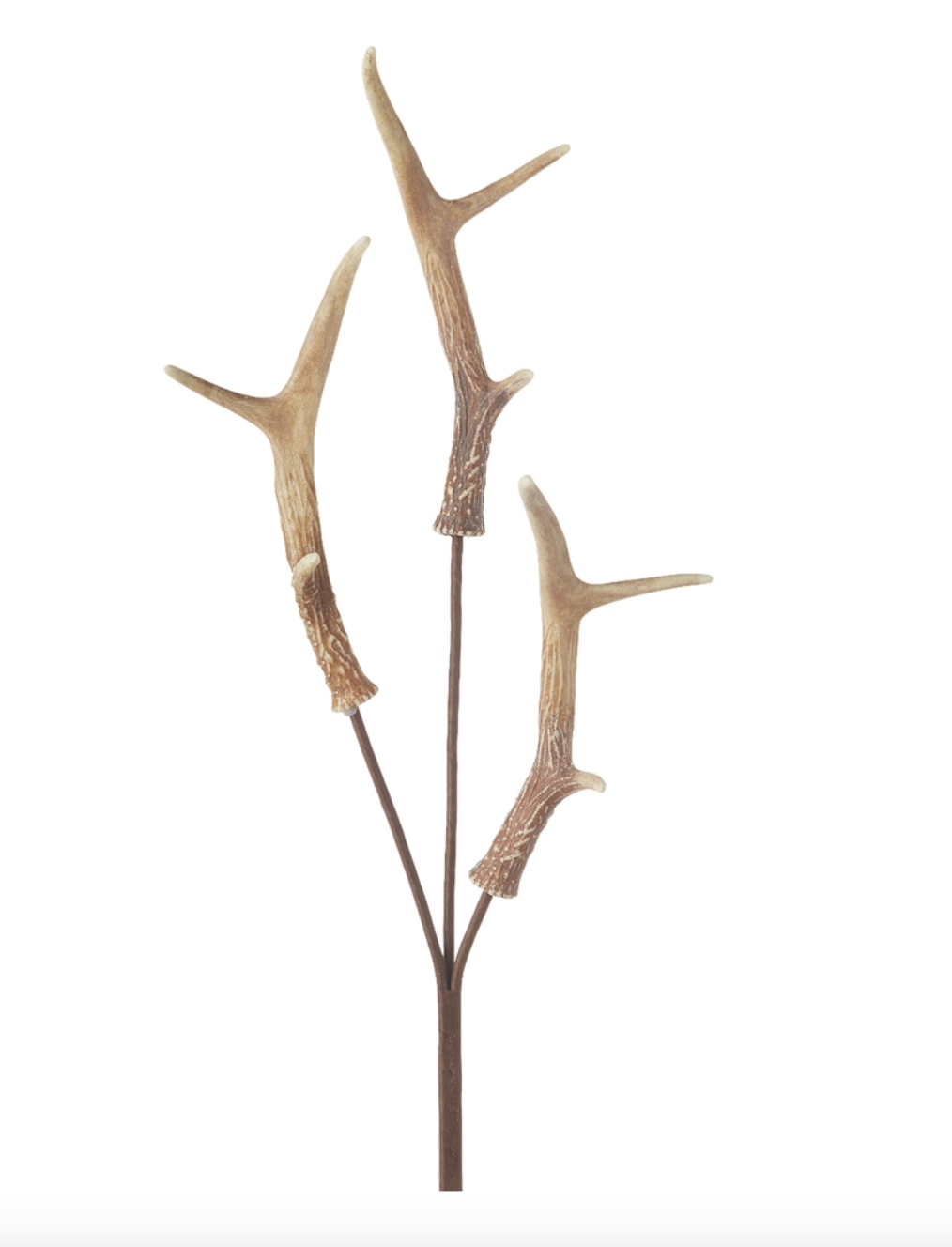 34" Natural Antler Spray