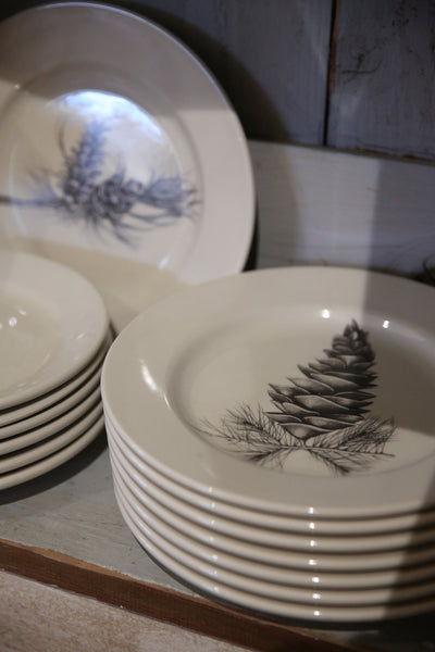 ヴィンテージ Swinnertonプレート　6枚セット皿　Parisienne ZINDELDINNERPLATEPINECONE-
