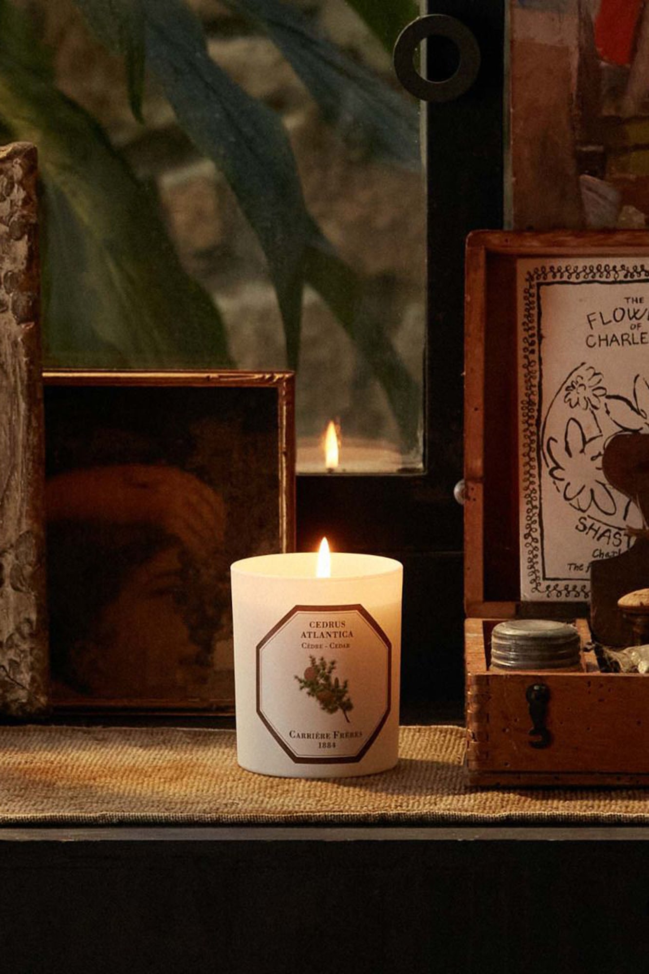 CF Candle CEDAR