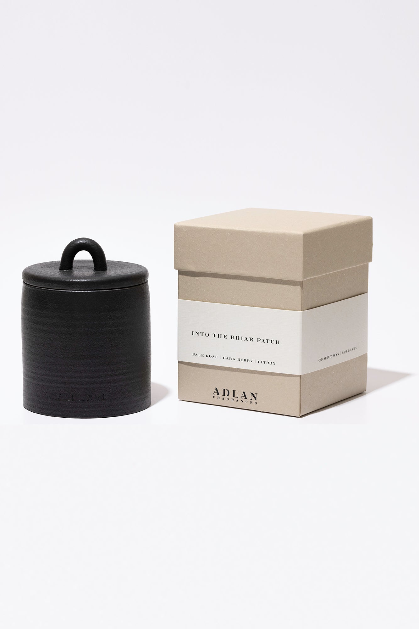 Into The Briar Patch 290g Candle